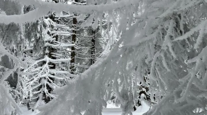 © Ulrike Röhrnböck