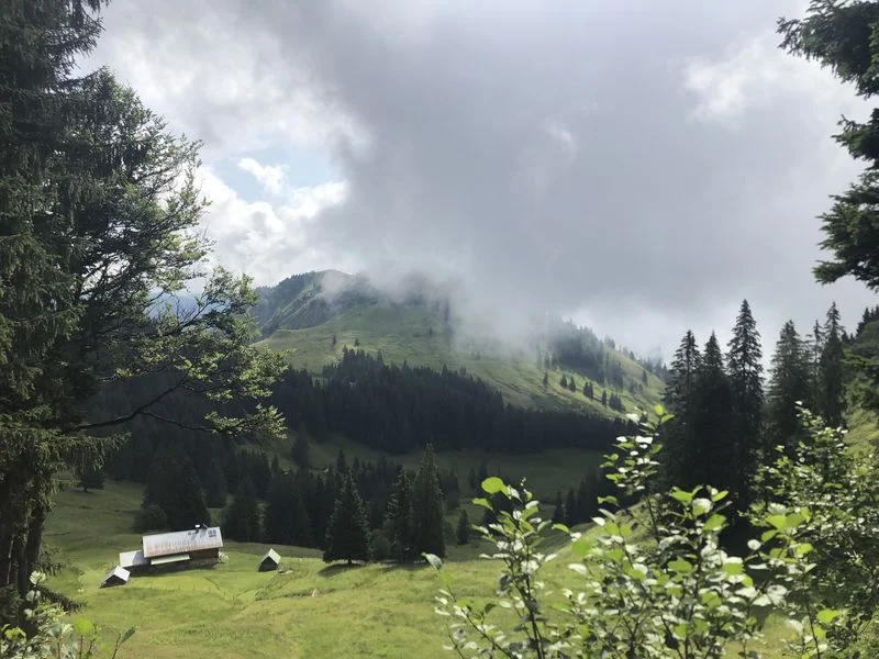 © Uli Röhrnböck