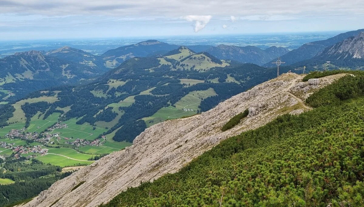 © Rainer