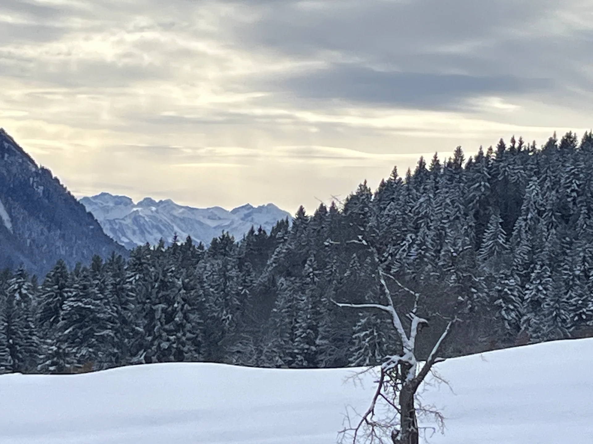 © Uli Röhrnböck
