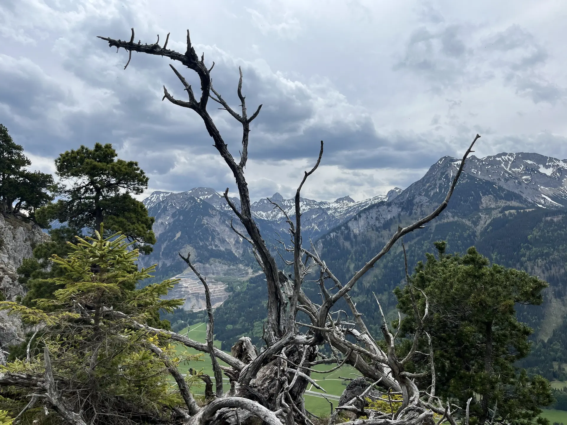 © Uli Röhrnböck