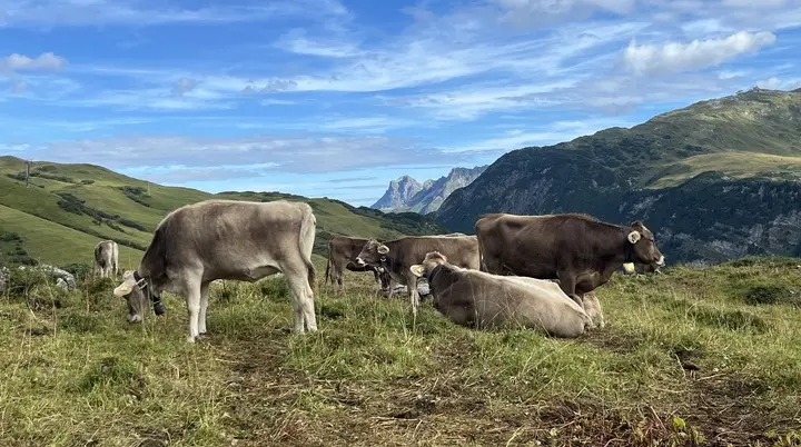 © Röhrnböck Uli
