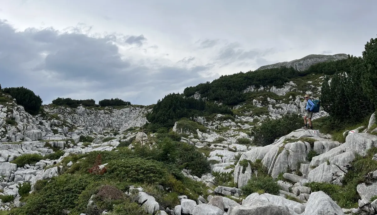 © Röhrnböck Uli