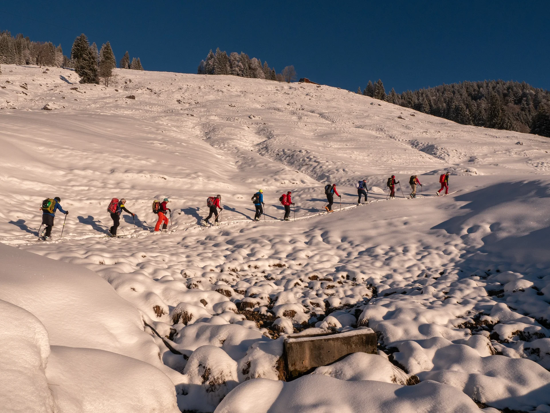 © Martina Schneider