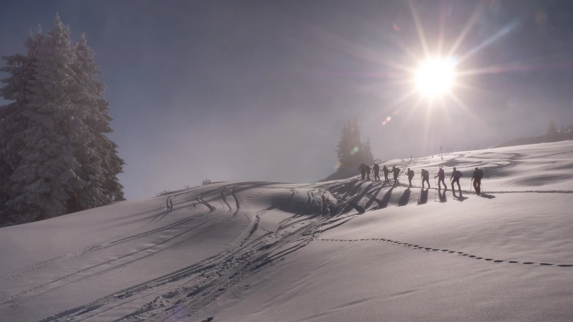 © Martina Schneider