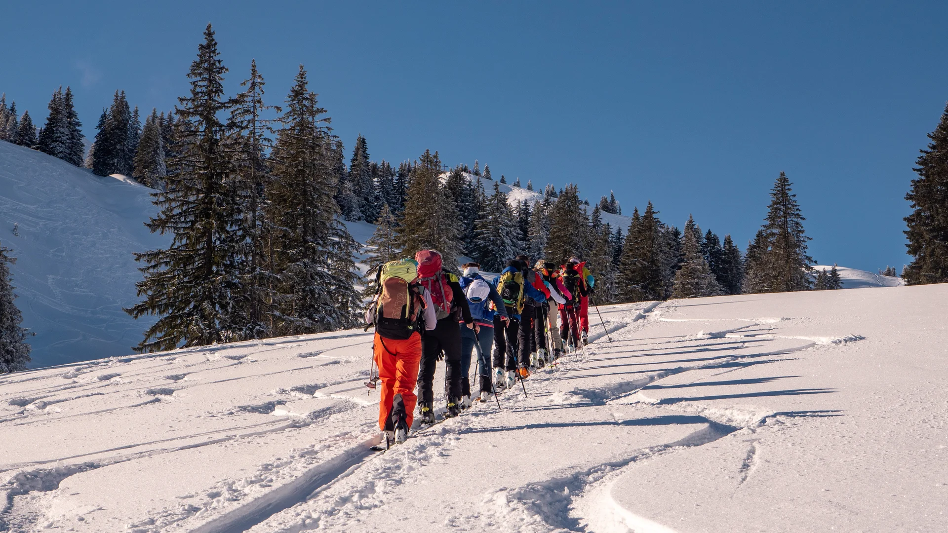 © Martina Schneider