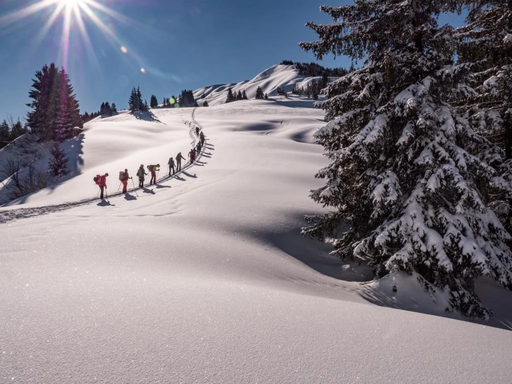 © Martina Schneider