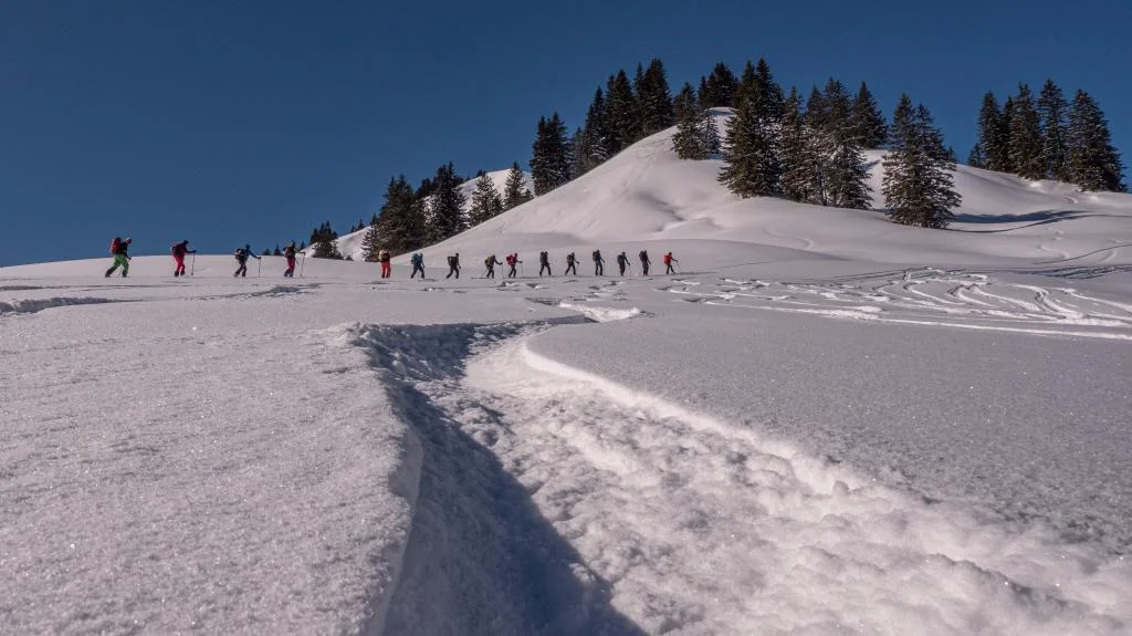 © Martina Schneider