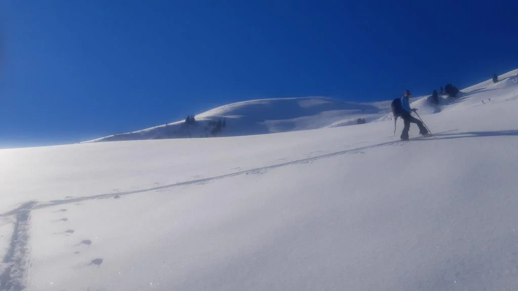 © Günter Biesenberger