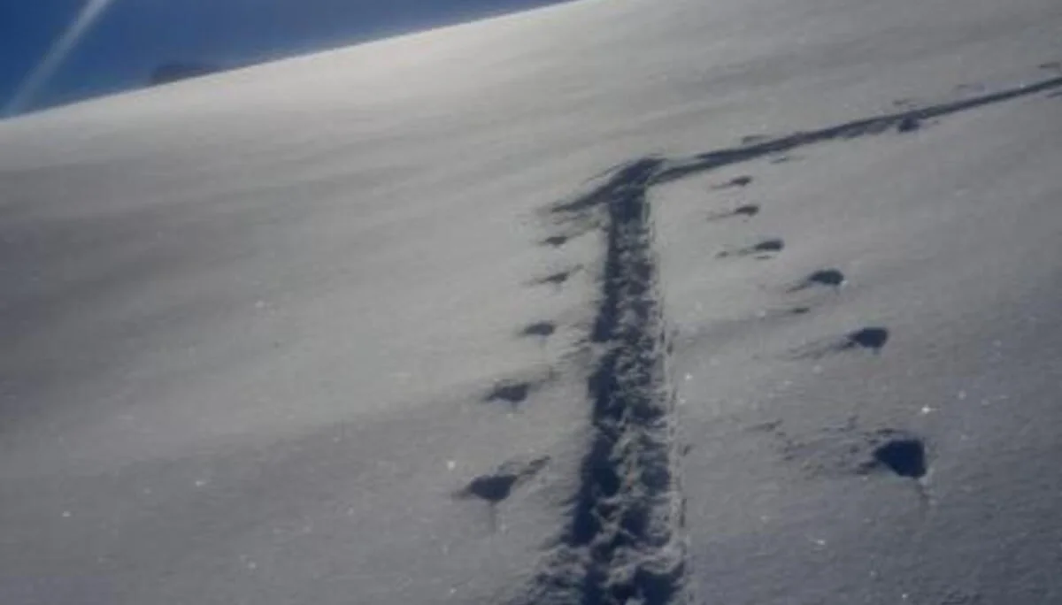 © Günter Biesenberger