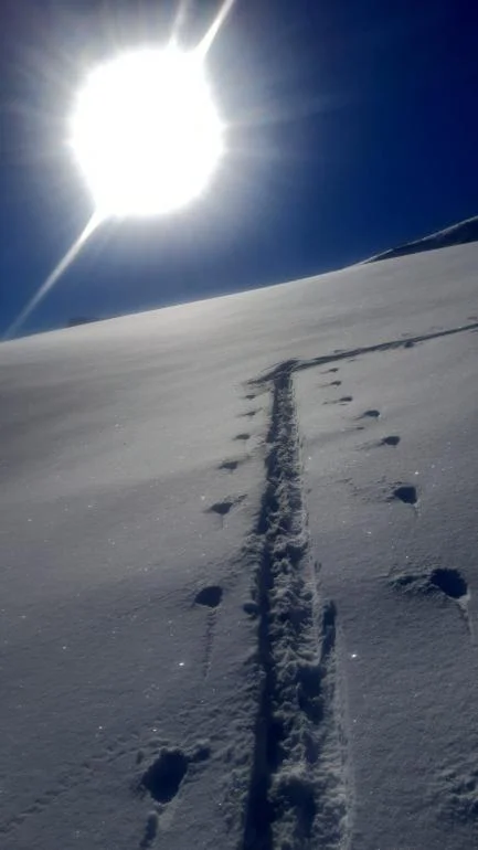 © Günter Biesenberger