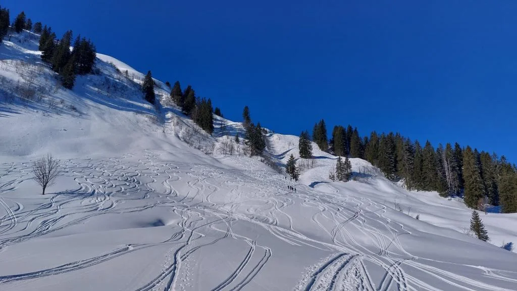 © Günter Biesenberger