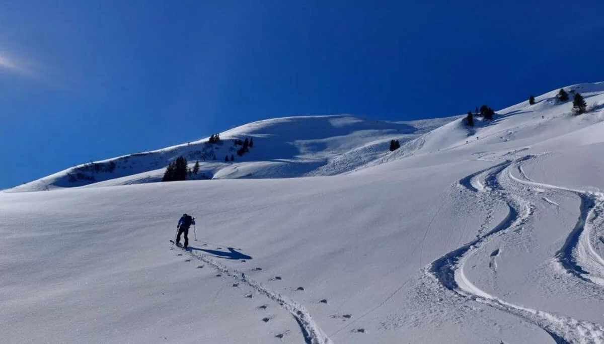 © Günter Biesenberger