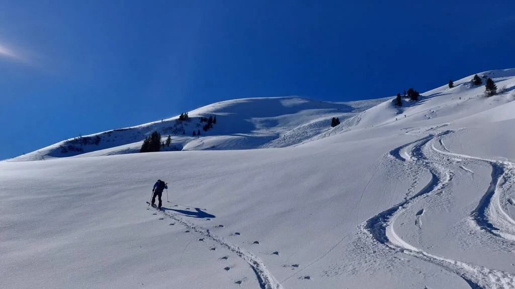 © Günter Biesenberger