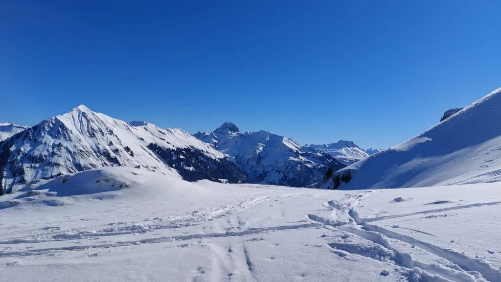 © Günter Biesenberger