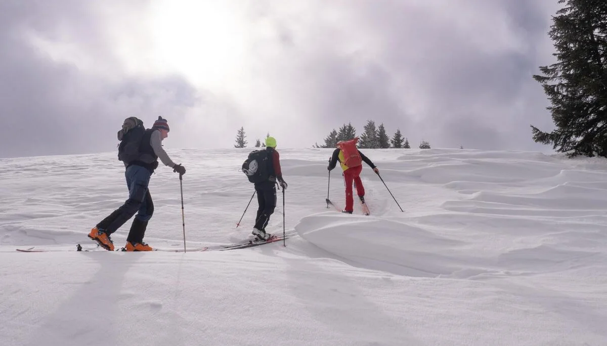 © Martina Schneider