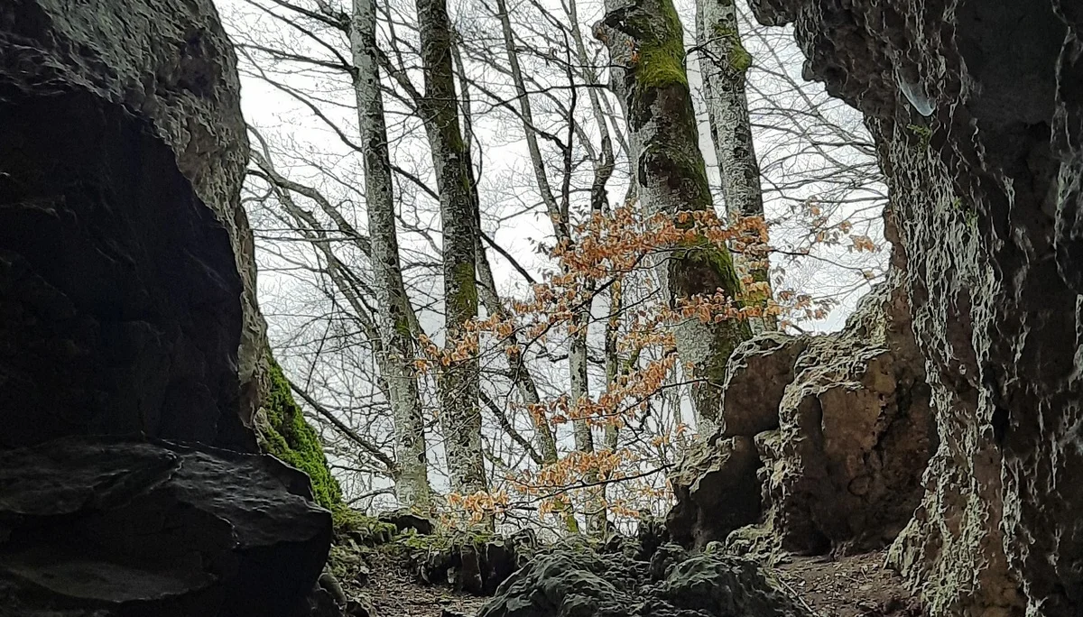 © Schäfer Gabriele