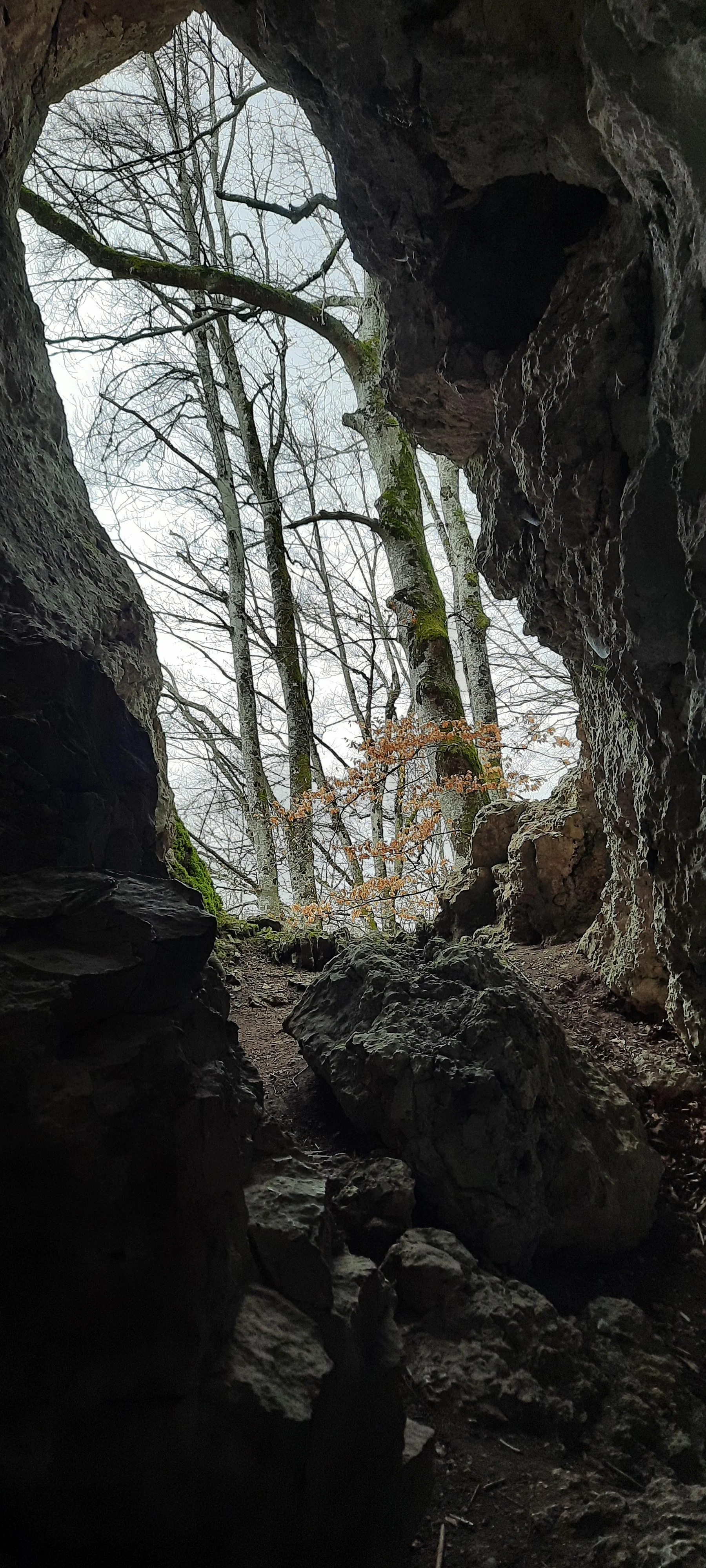 © Schäfer Gabriele