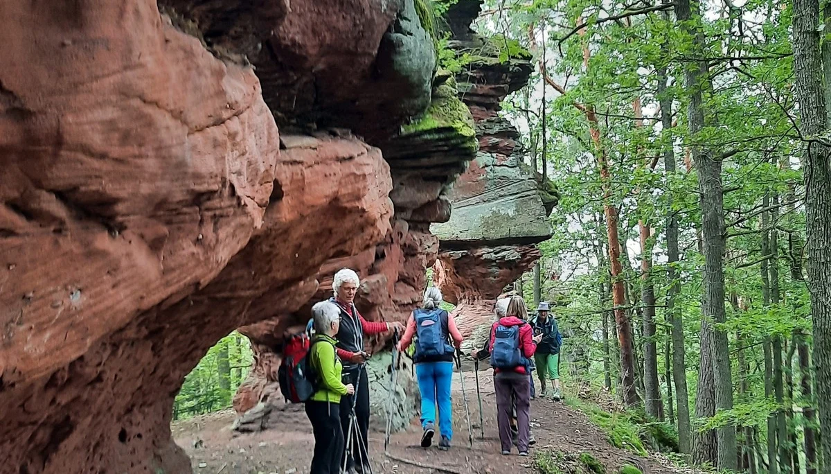 © Schäfer Gabriele