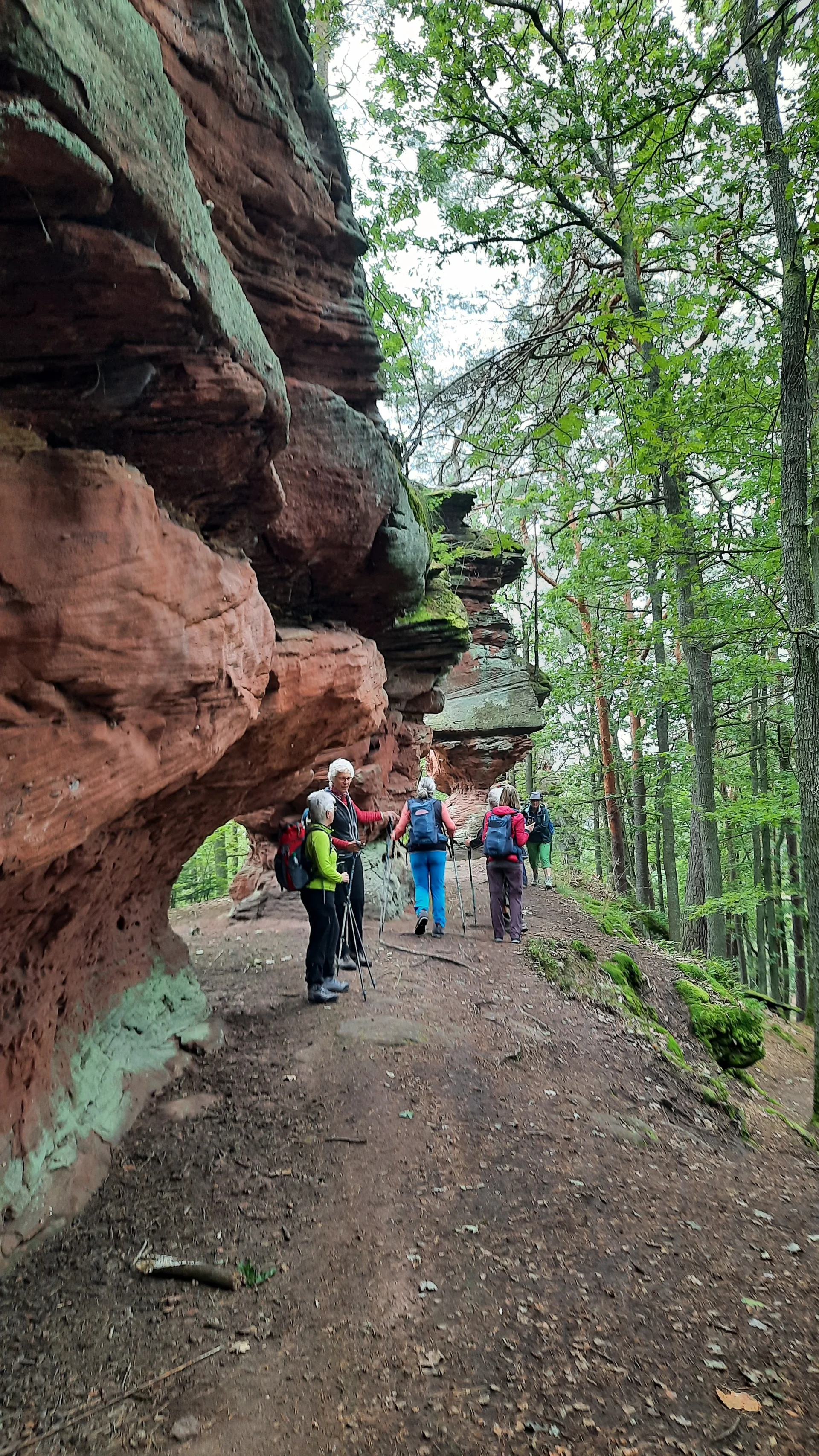 © Schäfer Gabriele