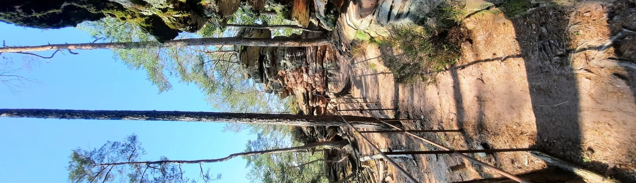 © Schäfer Gabriele