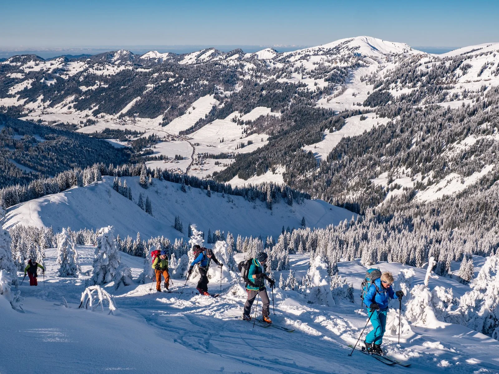 © Erwin Schneider