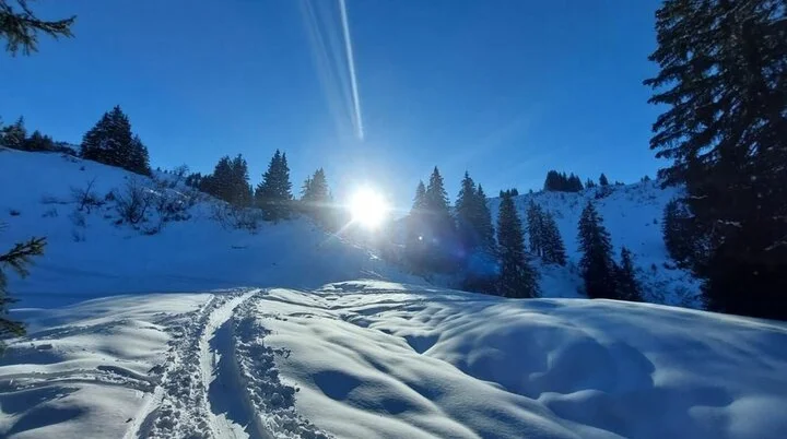 © Günther Biesenberger