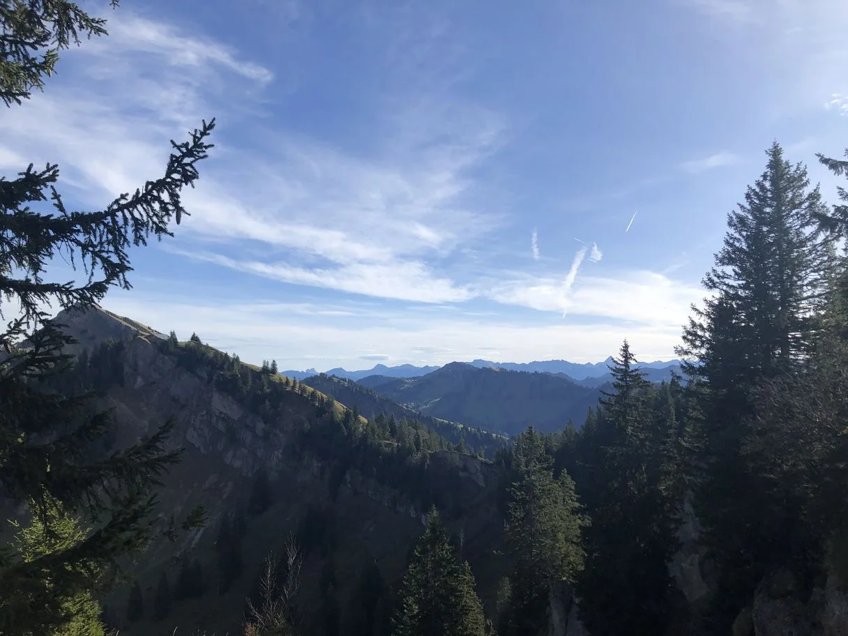 © Ulrike Röhrnböck