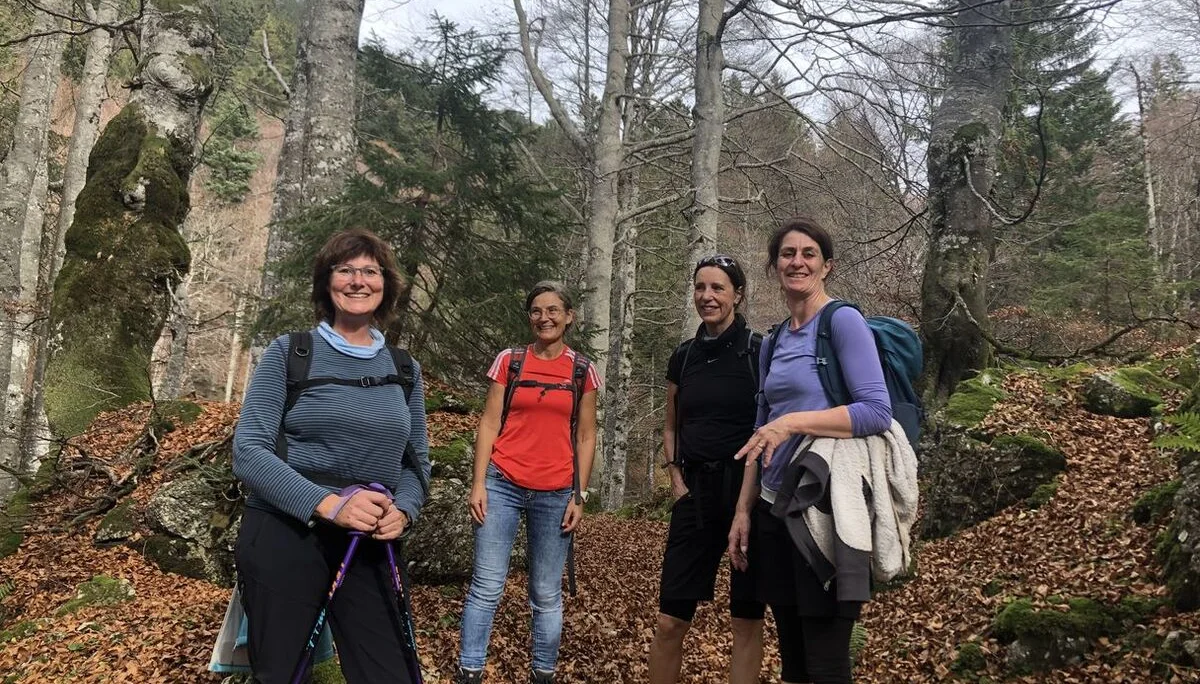 © Ulrike Röhrnböck