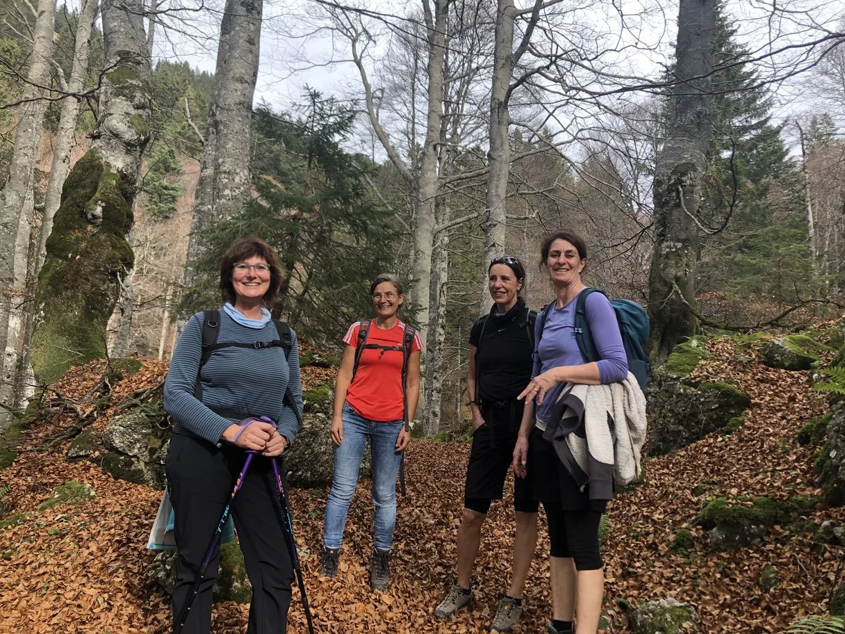 © Ulrike Röhrnböck