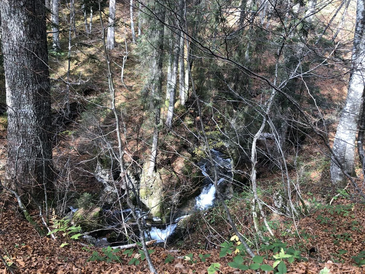 © Ulrike Röhrnböck