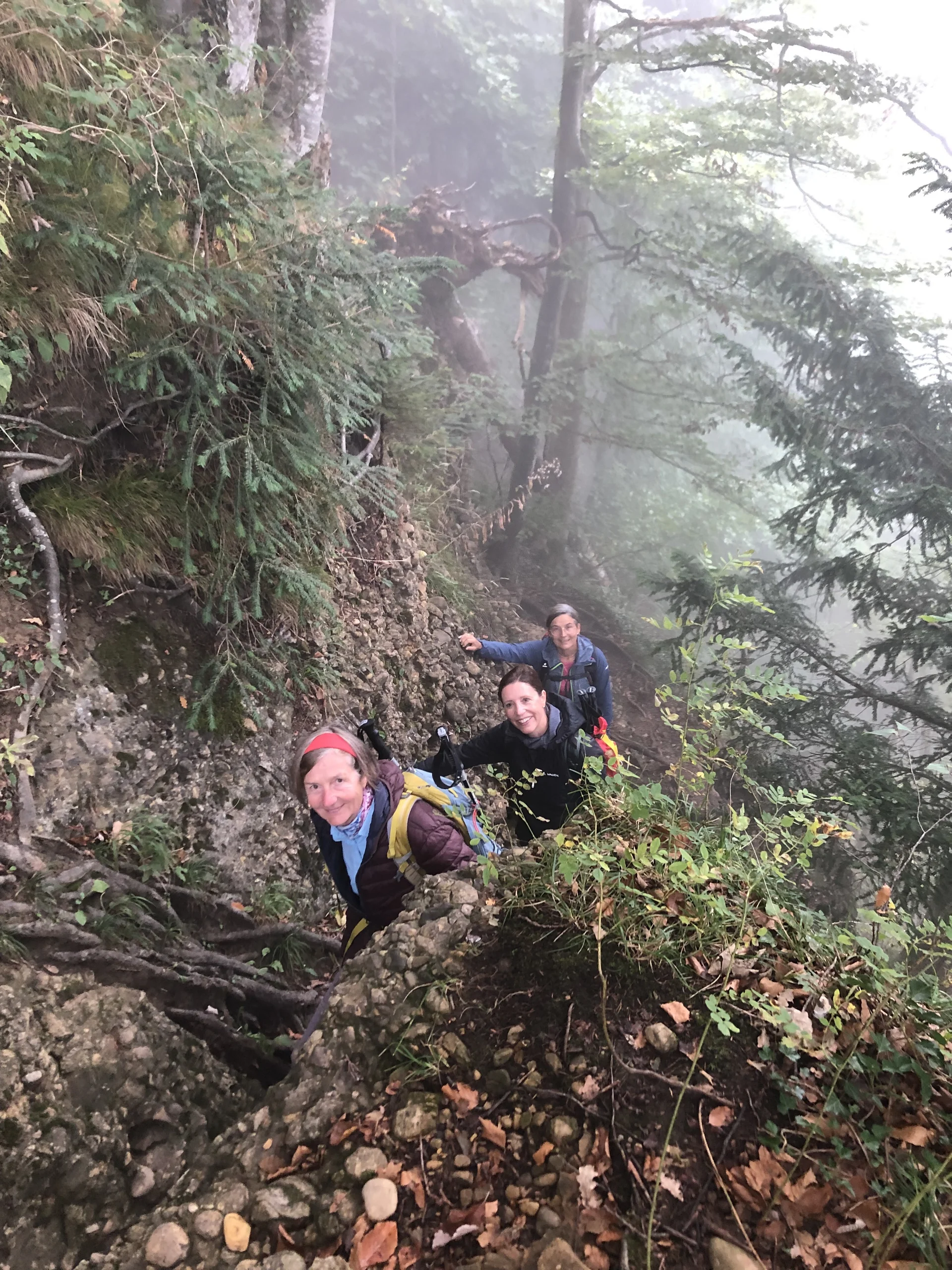 © Ulrike Röhrnböck